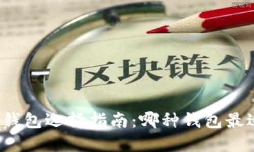 比特币钱包选择指南：哪种钱包最适合你？