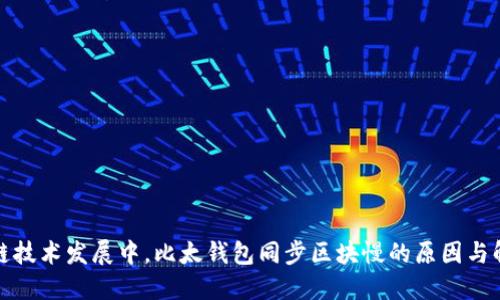 在区块链技术发展中，比太钱包同步区块慢的原因与解决方法