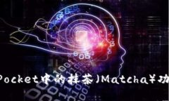 全面解析TokenPocket中的抹茶（Matcha）功能及其使用