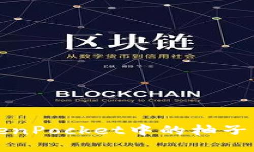 如何解决TokenPocket中的柚子私钥无效问题