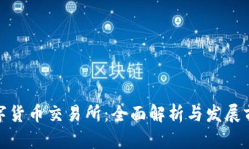 数字货币交易所：全面解析与发展前景