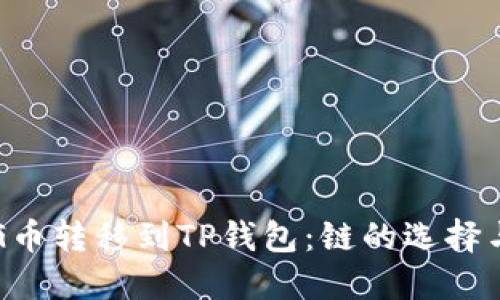 如何将PIG币转移到TP钱包：链的选择与步骤指南
