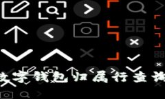 如何进行数字钱包归属行查询：全面指南