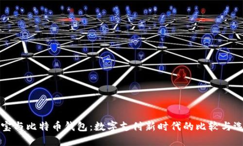 贝宝与比特币钱包：数字支付新时代的比较与选择