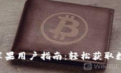 比特派APP下载苹果用户指南：轻松获取数字资产