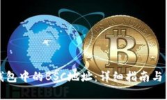 如何查看TP钱包中的BSC地址：详细指南与常见问题