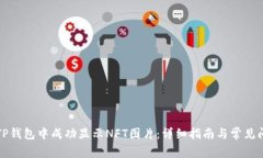 如何在TP钱包中成功显示NFT图片：详细指南与常见