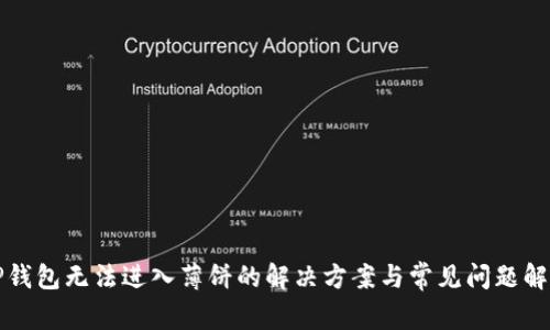 TP钱包无法进入薄饼的解决方案与常见问题解析