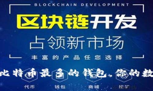 2025必看：比特币最多的钱包，你的数字财富之钥